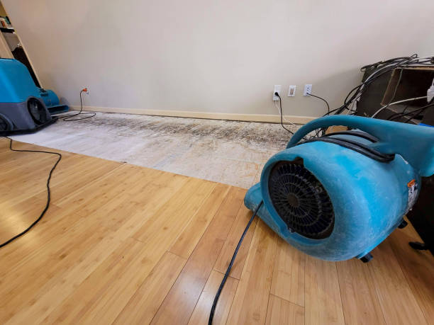 Reliable Burst Pipe Water Damage contractor in New Milford, NJ by Hirex Water Damage