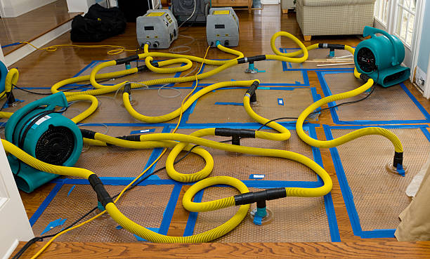 Professional Burst Pipe Water Damage technician working in New Milford, NJ